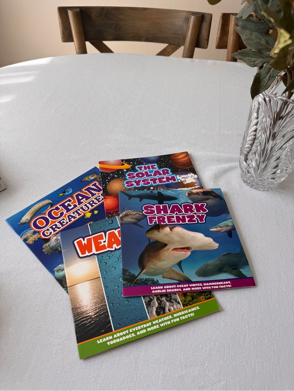 Kids Educational Books Set of 4